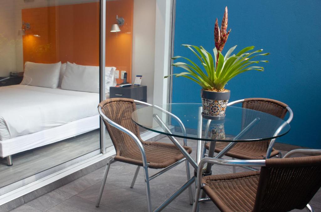 波哥大104艺术套房蓝色大门酒店 的一张带两把椅子的玻璃桌和盆栽植物