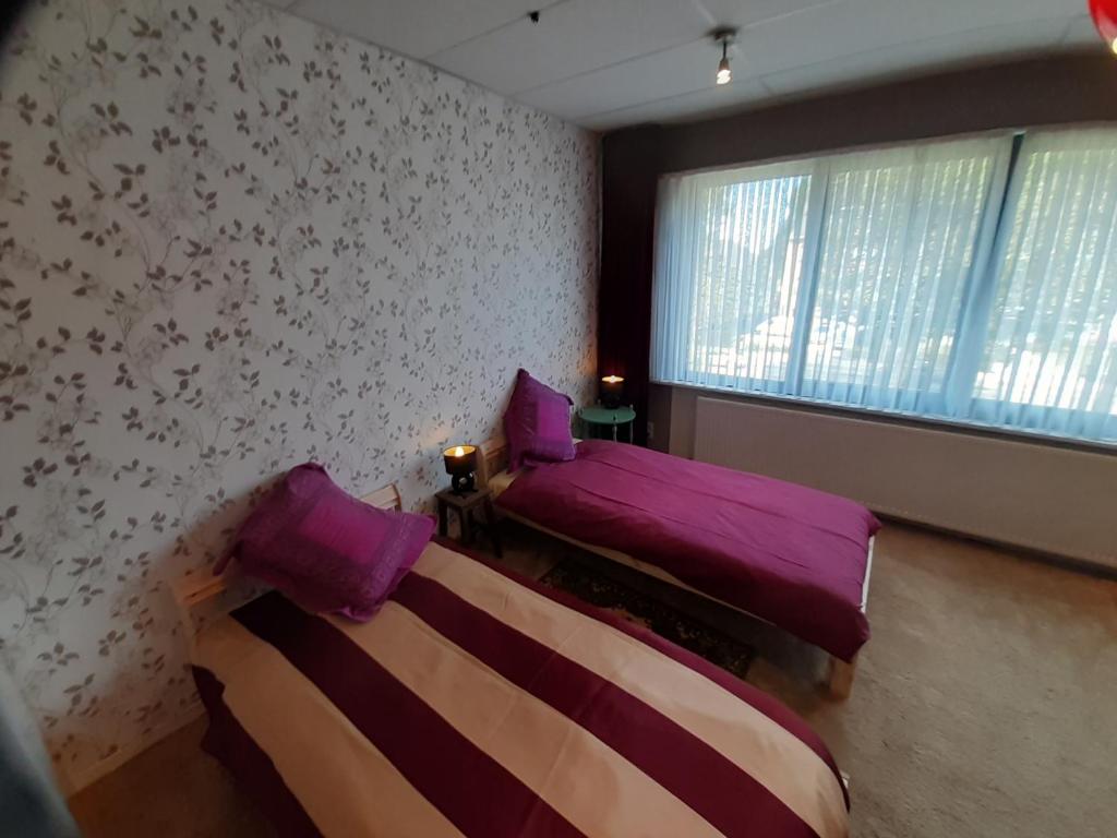 安特卫普casa di Claudia的客房设有两张带紫色床单的床和窗户。