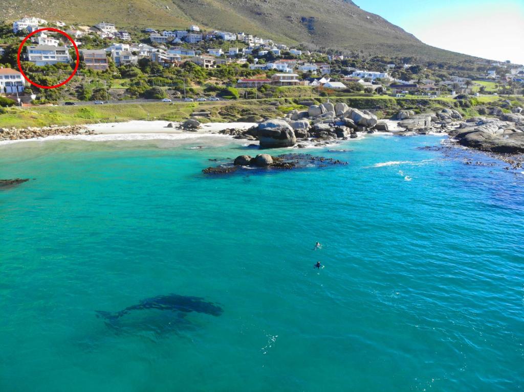 西蒙镇Roman Rock Apartments的鲸鱼在海滩旁的海洋中游泳