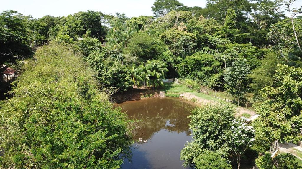 里约布兰科Recanto na Floresta的森林中河流的空中景观