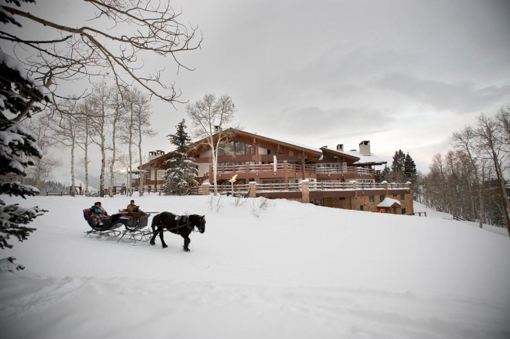 帕克城鹿谷斯坦埃里克森旅舍的小屋前雪中马车