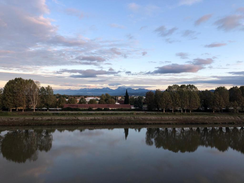 比萨Belvedere的享有树木和建筑的湖景