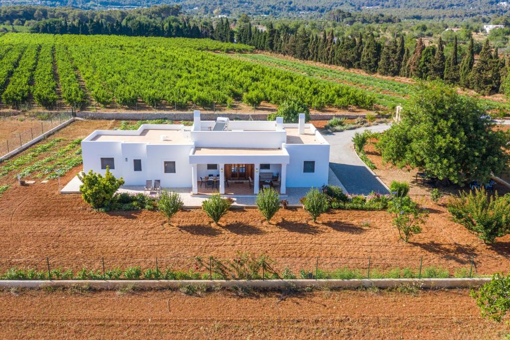 圣卡洛斯Casa Cristina Ibiza的葡萄园中白色房子的空中景色