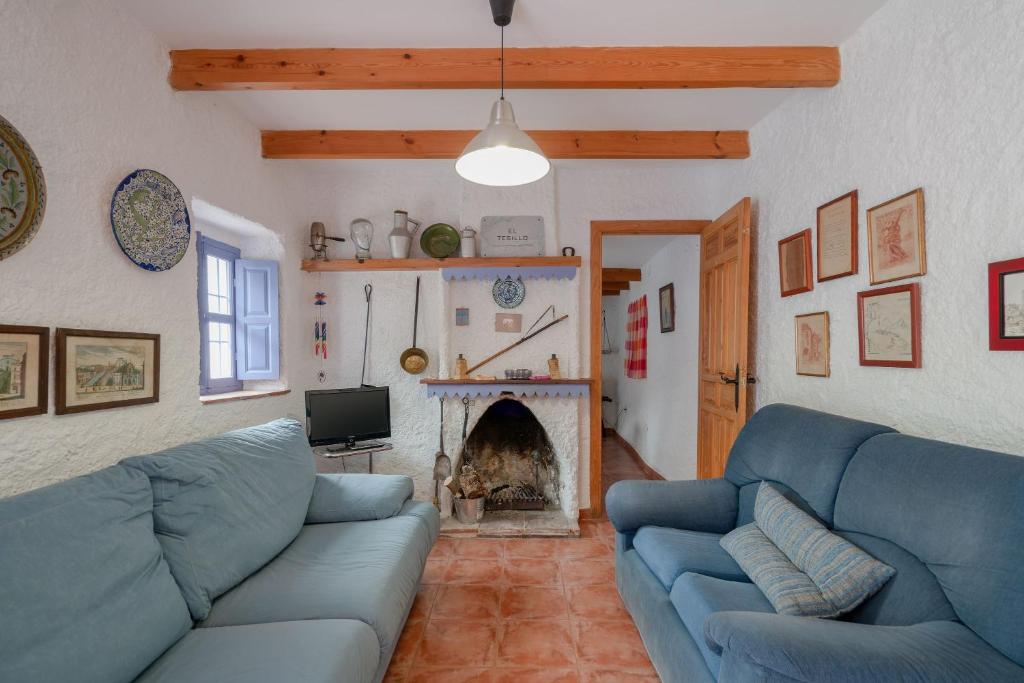 Canillas de AceitunoCasa Rural El Tesillo的客厅设有蓝色的沙发和壁炉