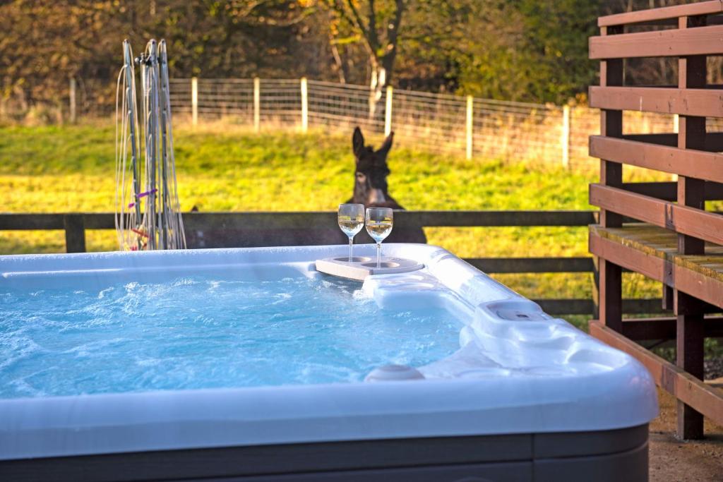 新卡姆诺克Glen Bay - 2 Bed Lodge on Friendly Farm Stay with Private Hot Tub的一只狗站在热水浴缸旁,旁边放着两杯葡萄酒
