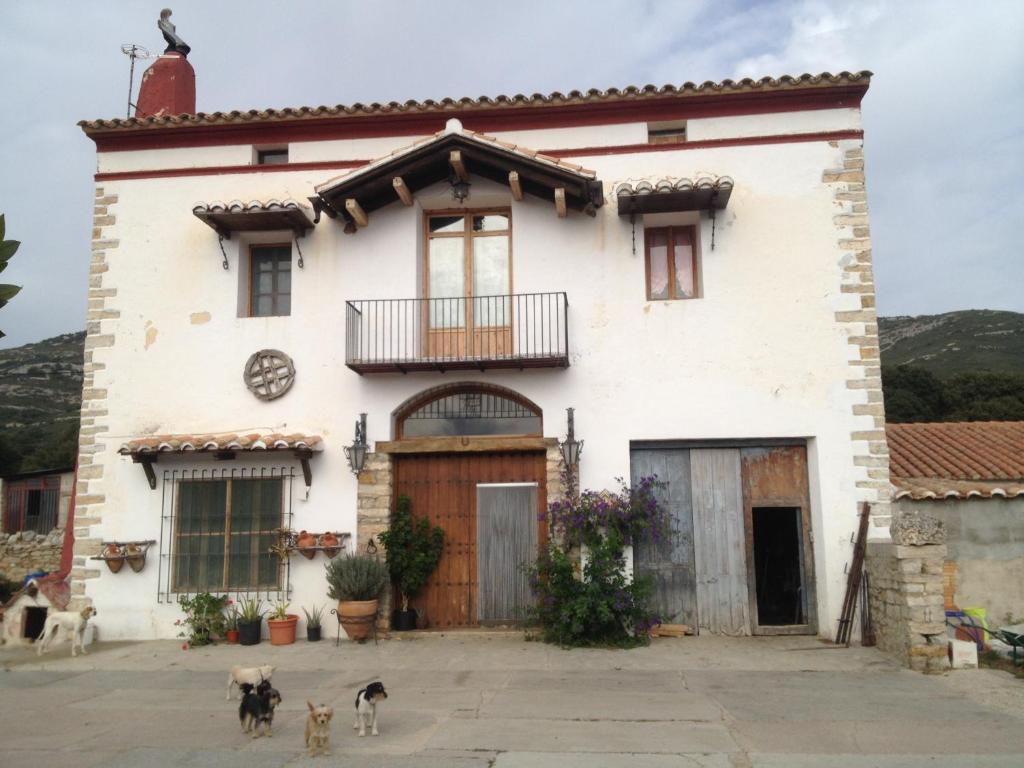 Catí马斯维尔乡村民宿的前面有两只狗的白色房子