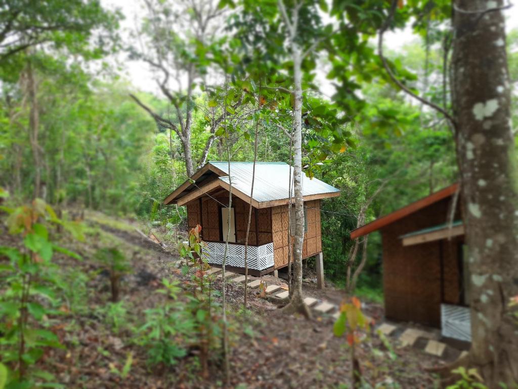Batuanhome stay rizalina的森林中间的小建筑