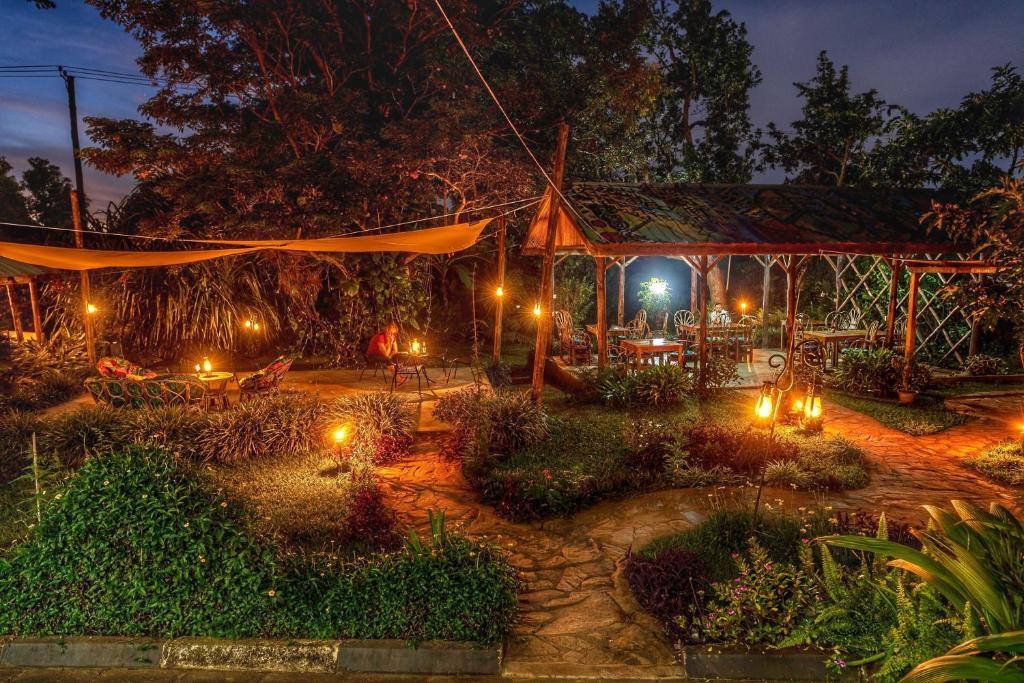 恩德培Muti Entebbe的夜晚带灯光的花园