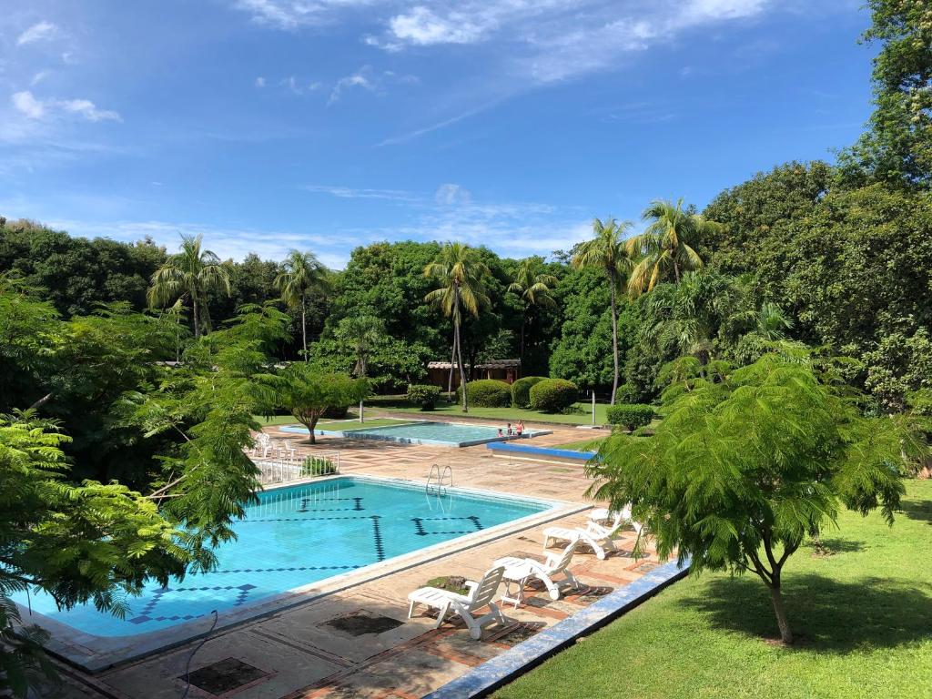 圣克鲁斯Hotel Diriá Santa Cruz的享有带椅子和树木的游泳池的景致