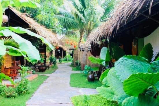 Under The Coconut Tree Hoi An Homestay外面的花园