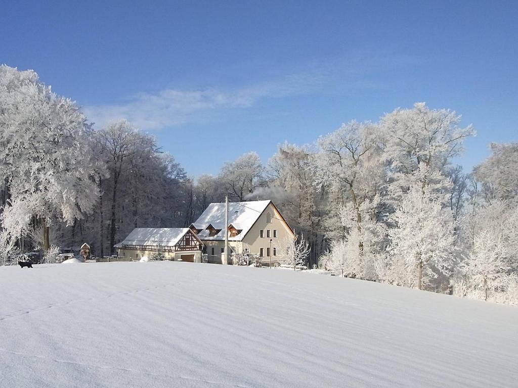 KnauFerienhof "Alte Försterei"的雪覆盖的山丘上的房子