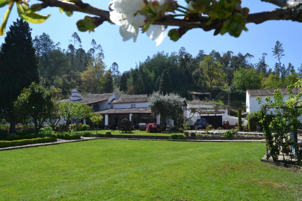 洛萨金塔尔德阿莱姆杜里贝罗-特里士姆乡村酒店的前面有大草坪的房子