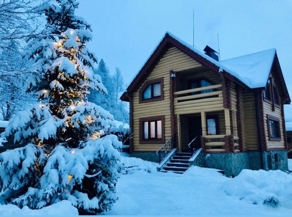 皮利佩齐Шалe у Пилипці Chalet Pylypets的雪地中的小木屋,有圣诞树