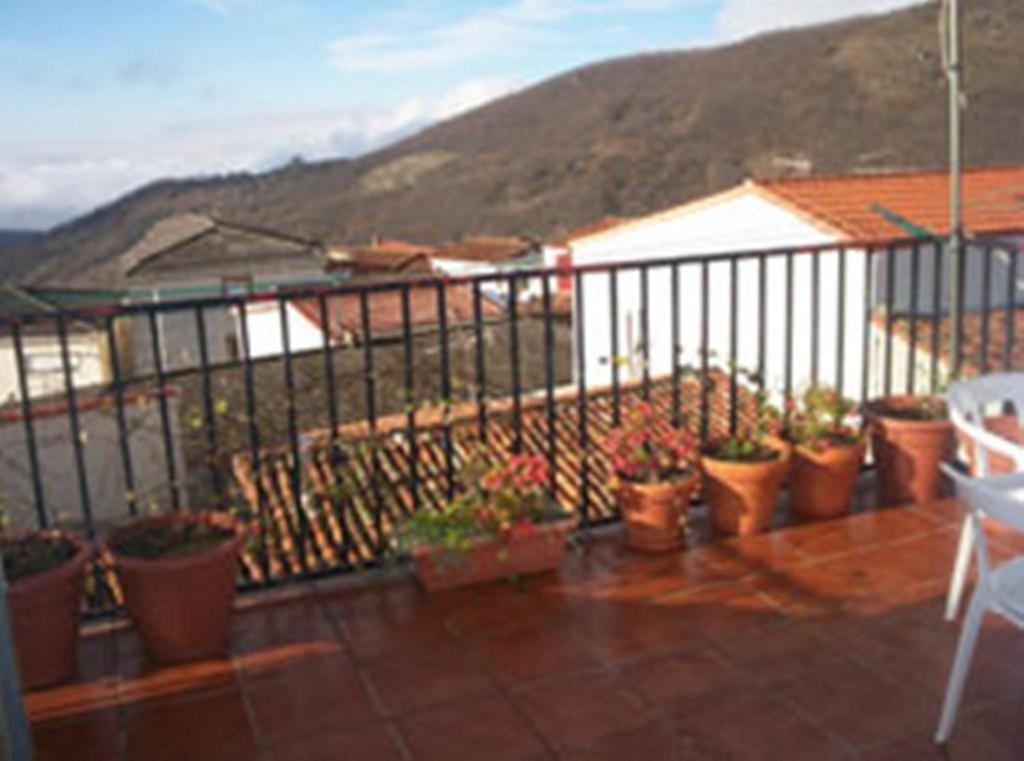 Barrado卡拉巴扎斯乡村民宿的阳台种有盆栽植物和围栏