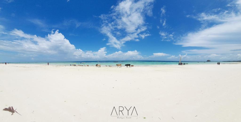 吉汶瓦ARYA Boutique Resort的一群人,在白色的沙滩上