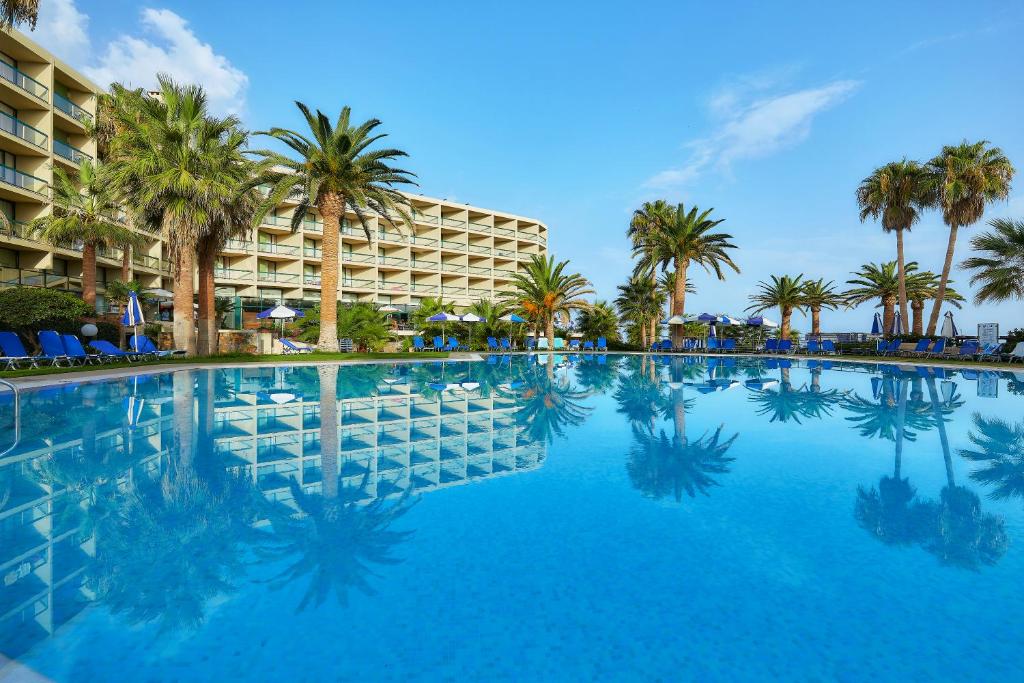 玛利亚海笛海滩村庄酒店的一座棕榈树大型游泳池