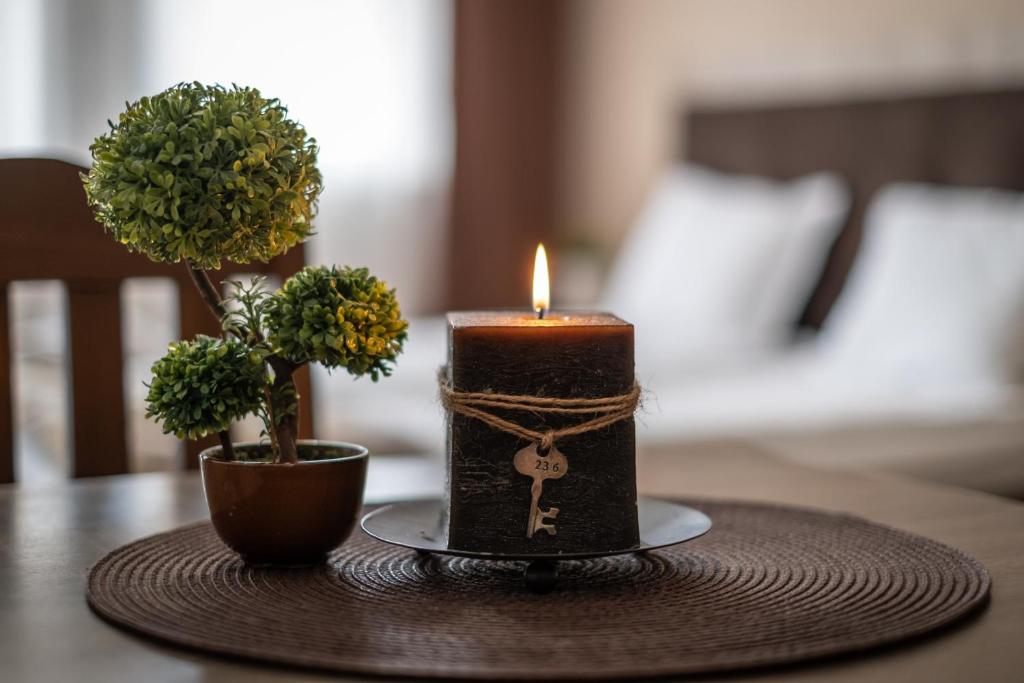 韦林格勒Luxor Apartment的桌上的蜡烛,与盆栽植物一起