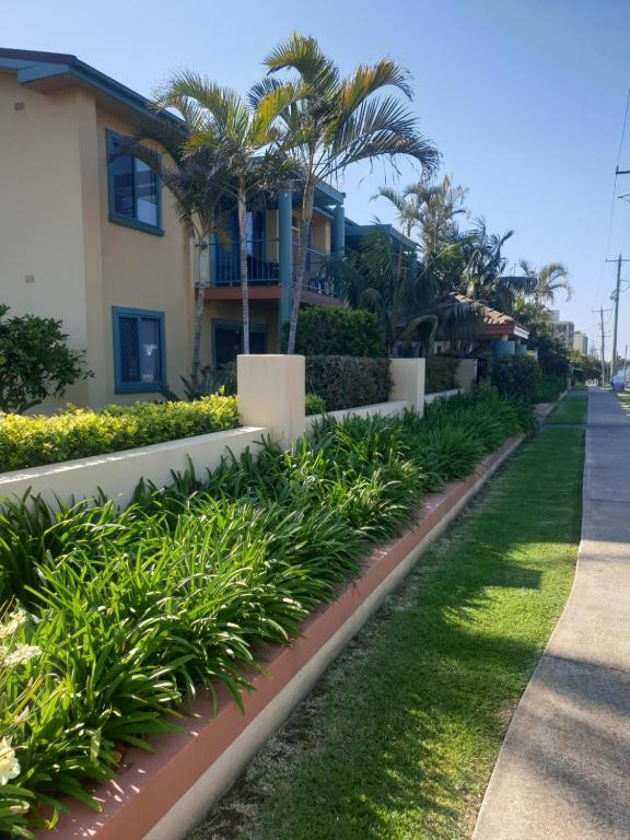麦夸里港奥克斯利湾度假公寓的一排植物在房子前面