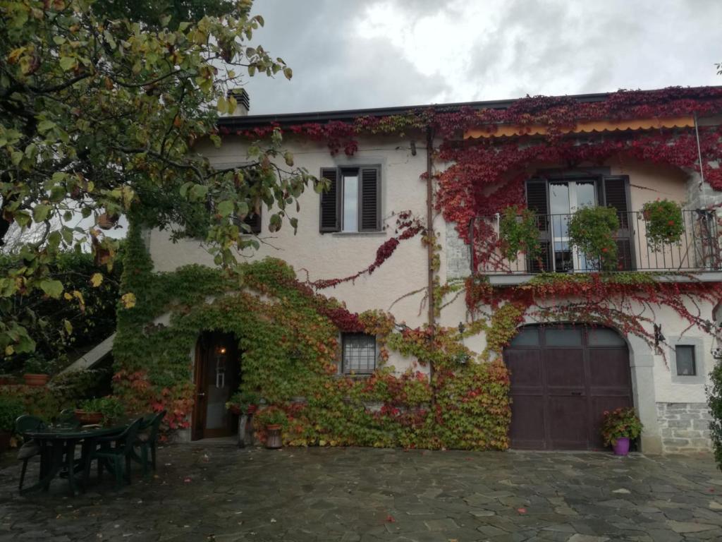 阿尼奥内Casale Santilli的常春藤覆盖的房子,前面有桌子