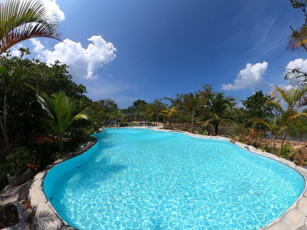 俊穆岛浦岛别墅度假村的一座拥有蓝色水和棕榈树的大型游泳池