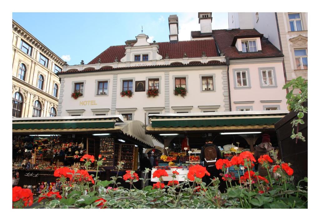布拉格布拉格黄金时代酒店的一座建筑前有红花的市场