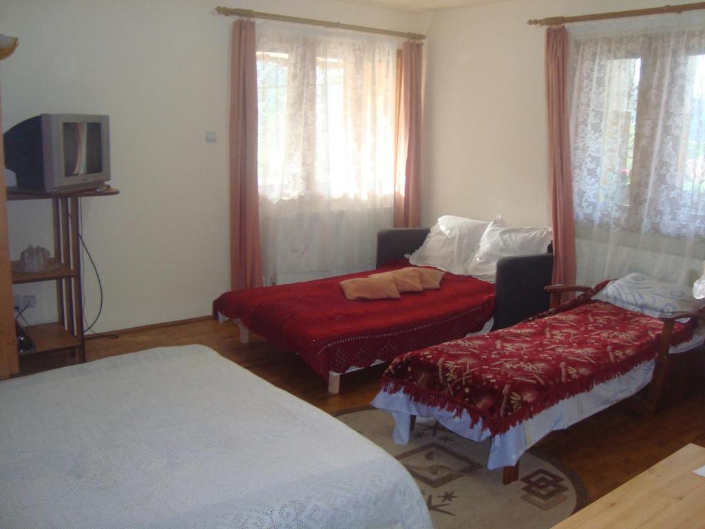 Oeștii UngureniPensiunea Nicky的一间带两张床和电视的客厅