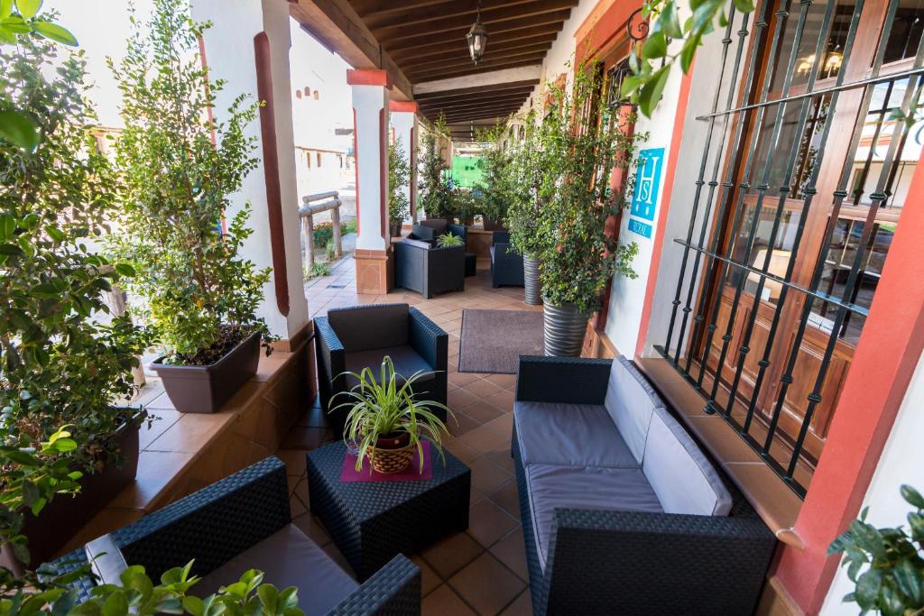 埃尔罗西奥拉方达德尔罗西奥乡村旅馆的户外庭院设有椅子和盆栽植物