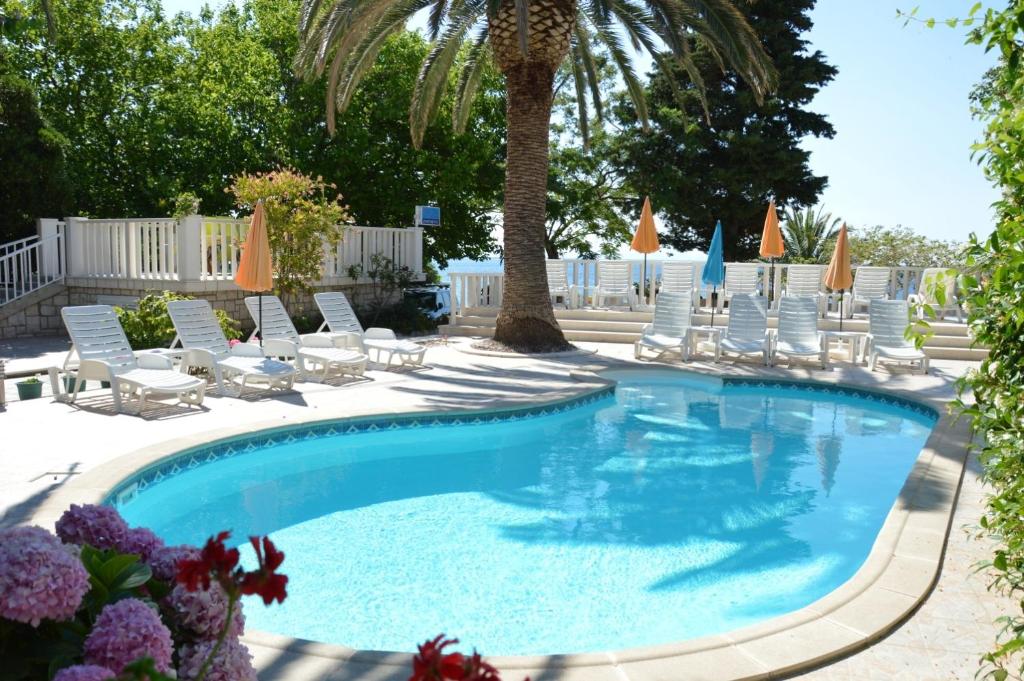 奥瑞比克Apartments Ora - with pool的一个带躺椅的游泳池,并种植了棕榈树