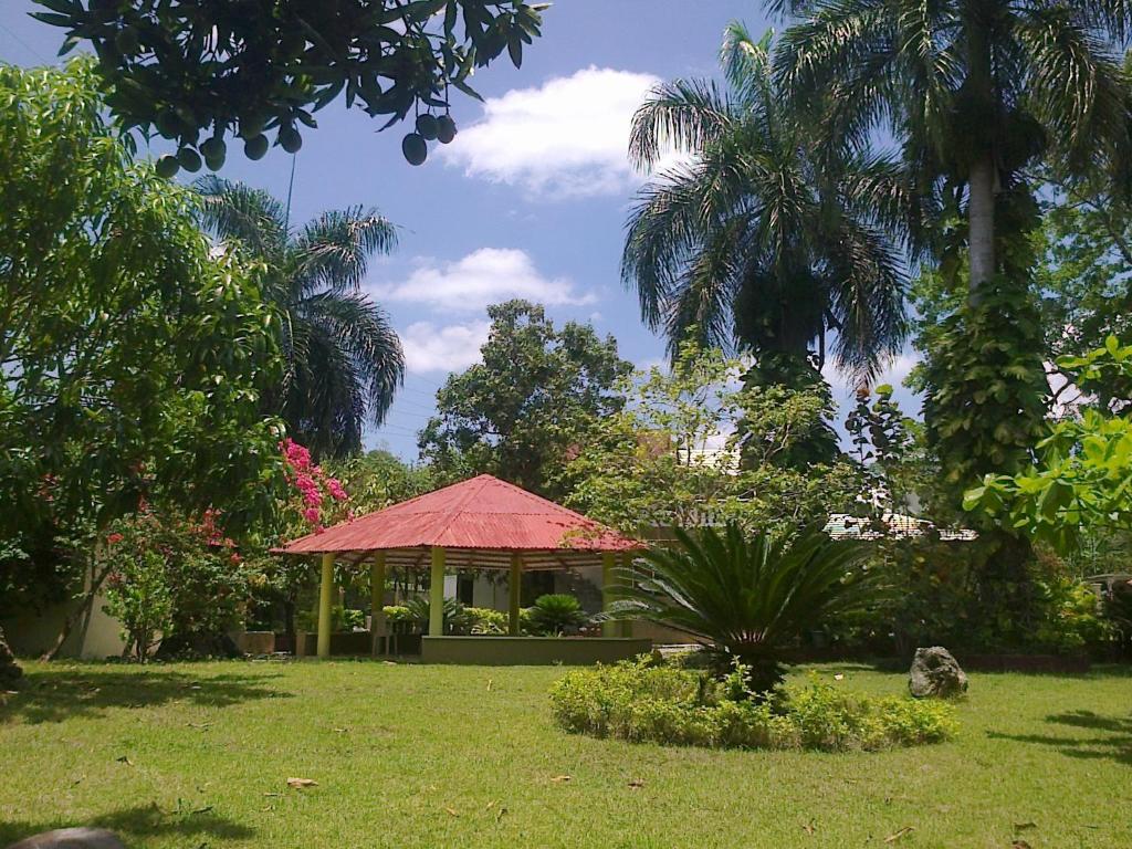 San CristóbalLos Palmares Guest House & Eventos的棕榈树和草地公园内的凉亭
