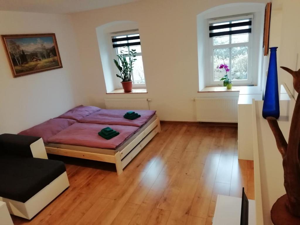 亚希莫夫Apartmán Albreit的一间卧室设有一张床和两个窗户。
