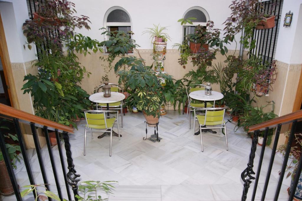 科尔多瓦第一城堡旅馆的庭院设有两把桌子和椅子,种有植物