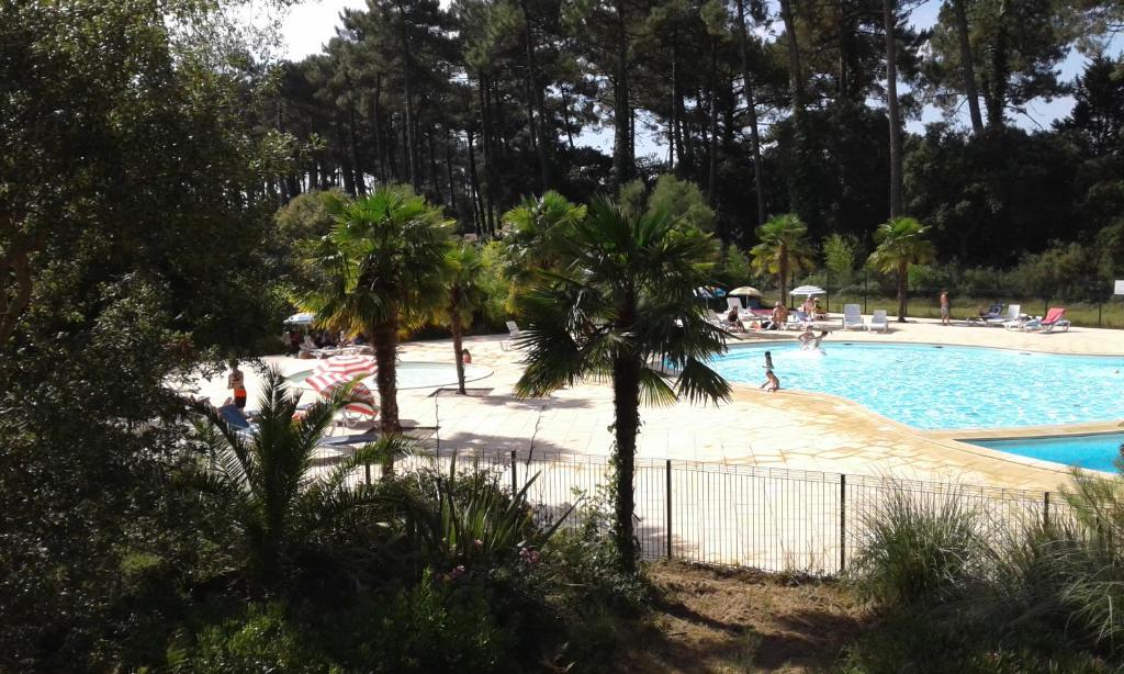 翁德尔T2 Turquoise Ondres plage avec piscine et tennis的一座棕榈树游泳池,里面的人