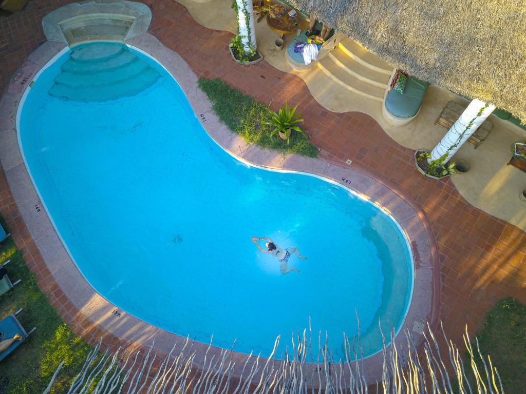 基利菲迪斯特瑞生态旅馆的享有大型蓝色游泳池的顶部景致
