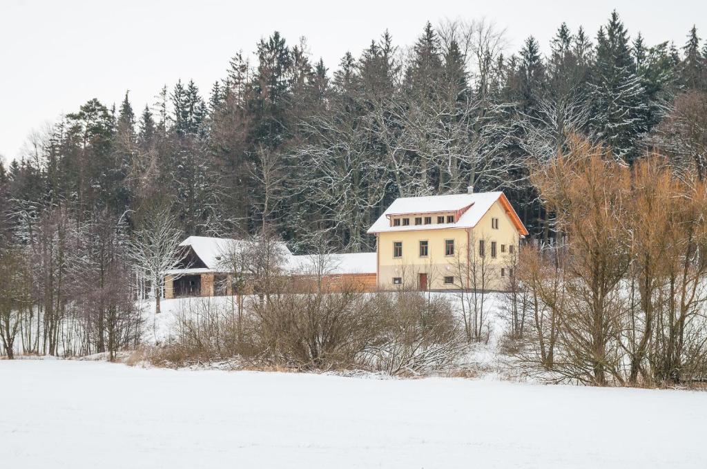 DlouhéHájenka Zátoky的森林前雪中的房子