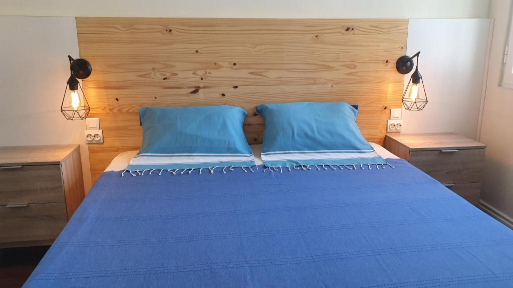 蓬塔德尔加达BRUMA HOSTEL的一间卧室配有蓝色的床和2个蓝色枕头