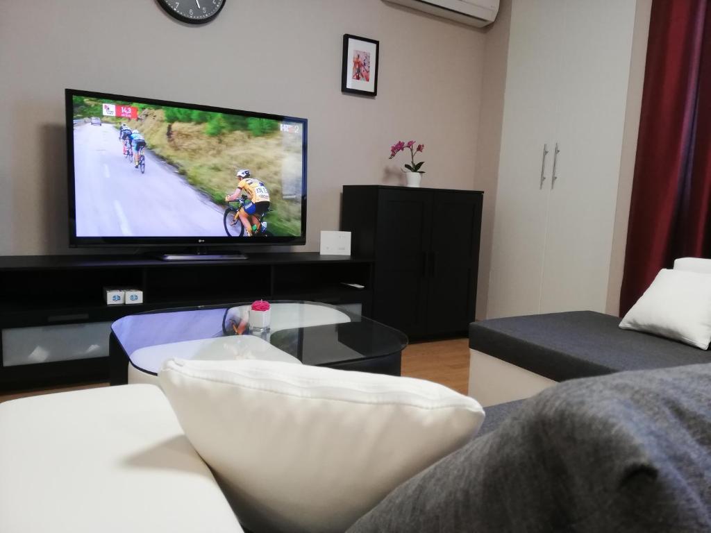 ČazmaStudio Apartment Lea的客厅配有平面电视和沙发。