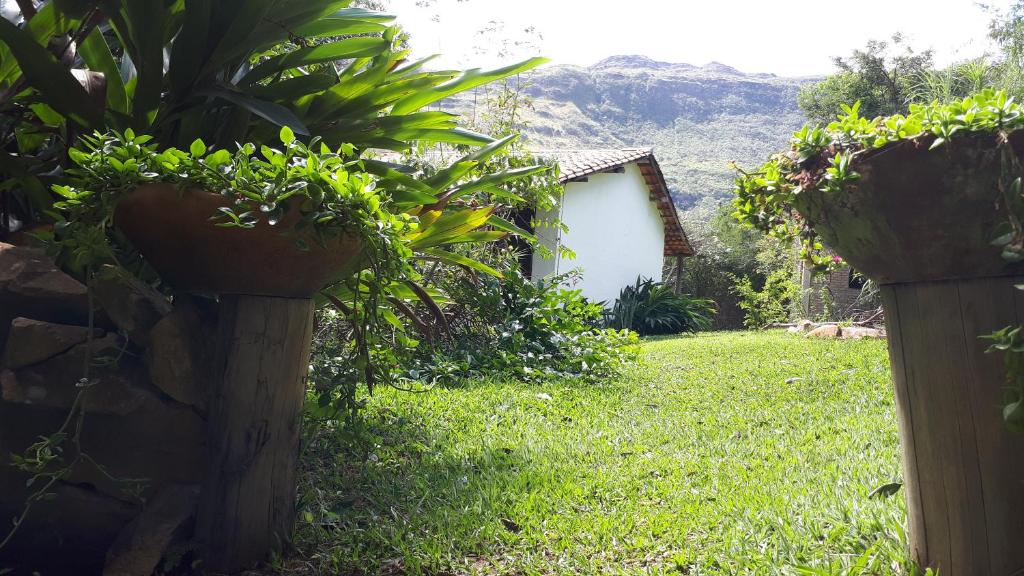 韦尔卡鲍Casa dos Gatos的院子里有两株盆栽植物的花园