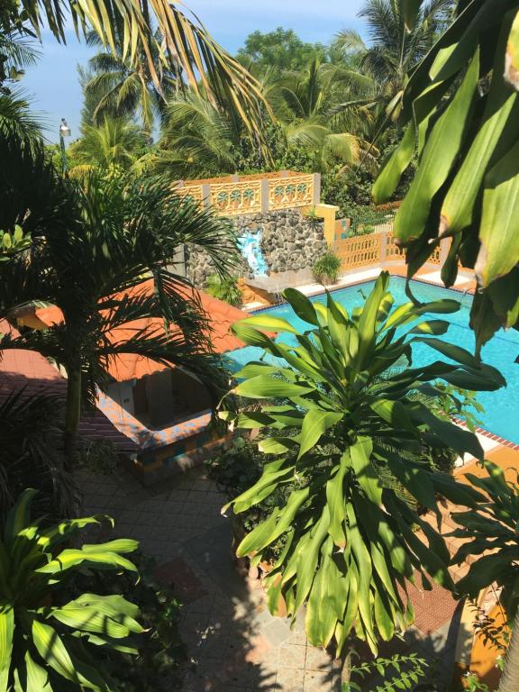 阿尼亚斯科Yukayeke Playa Resort的一个带游泳池和棕榈树的度假村