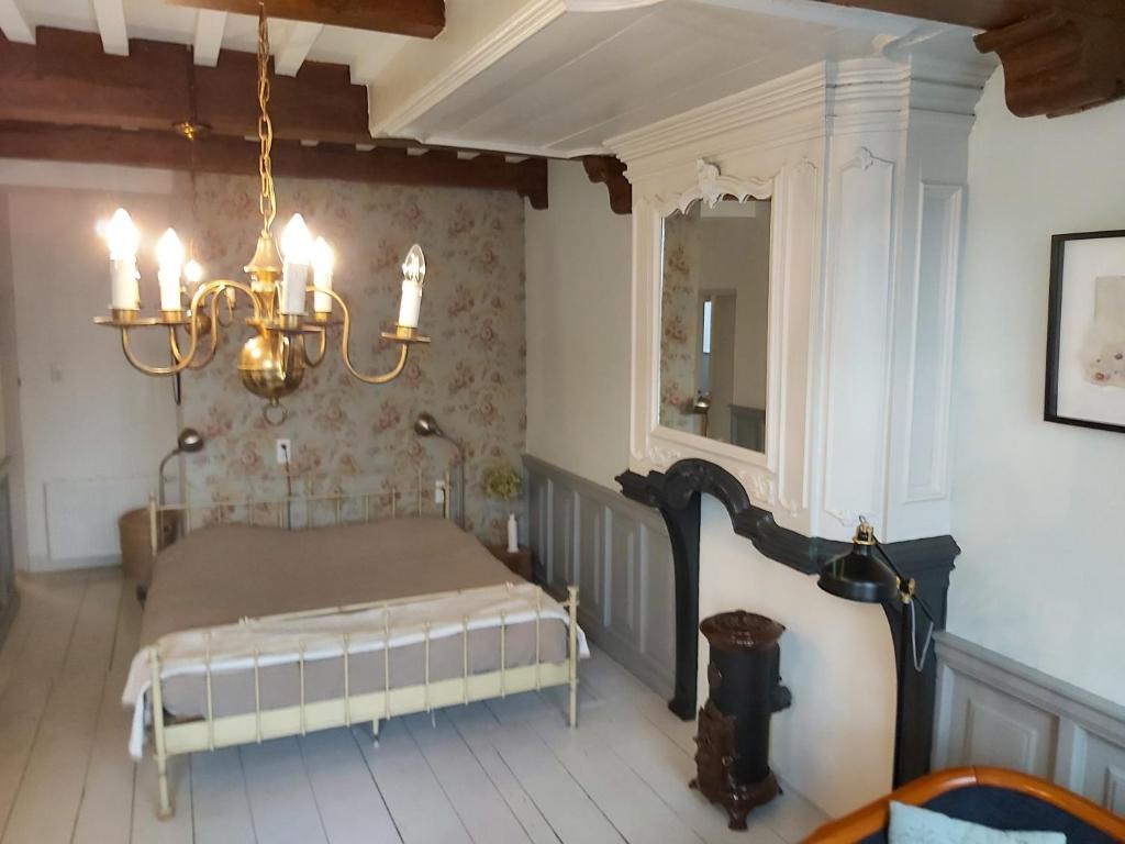 斯塔福伦De olde banck的一间卧室配有一张床和一个吊灯