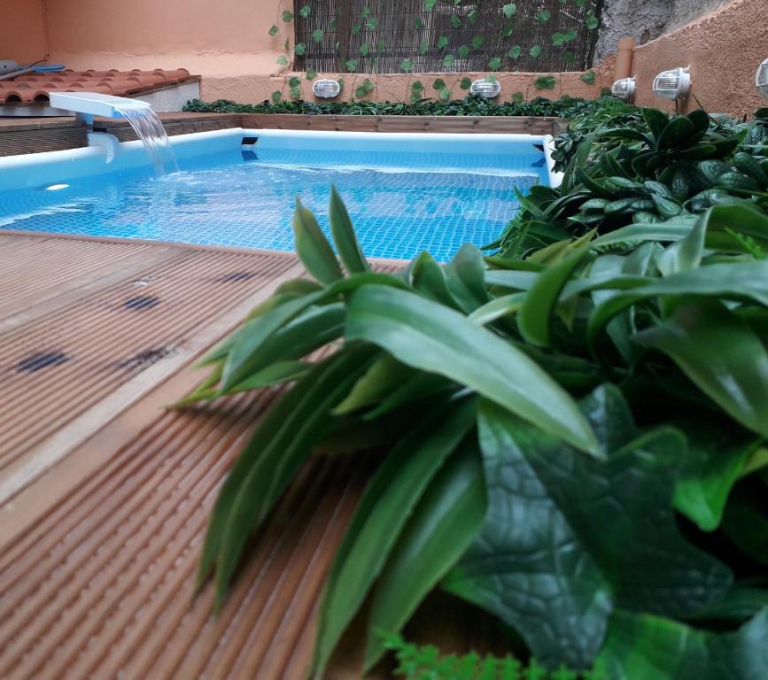 雅典ChrisAndro Apartments的游泳池前面有植物