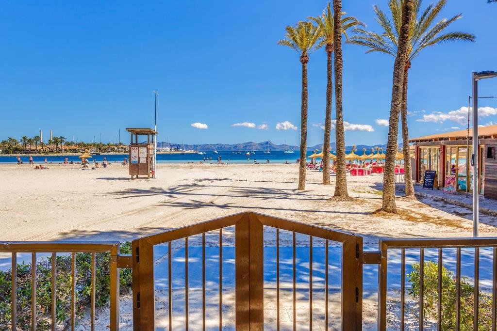 阿尔库迪亚港Ana Playasol的棕榈树沙滩和游乐场
