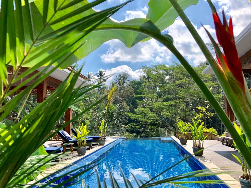 乌布Puri Kasih Gottlieb的植物繁茂的度假胜地中心的一个游泳池
