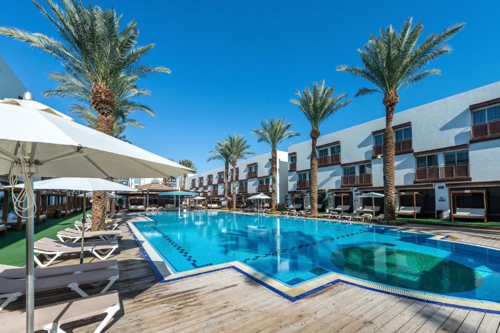 埃拉特G hotel的棕榈树度假村的游泳池