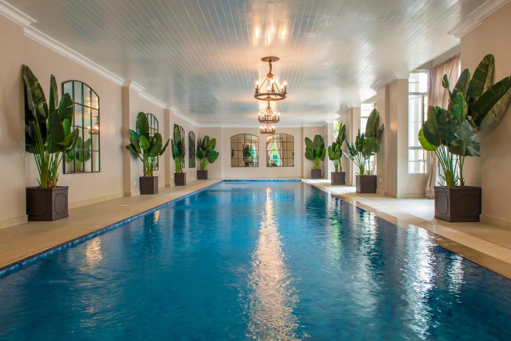 内罗毕普拉希那公寓及套房酒店的盆栽室里的游泳池
