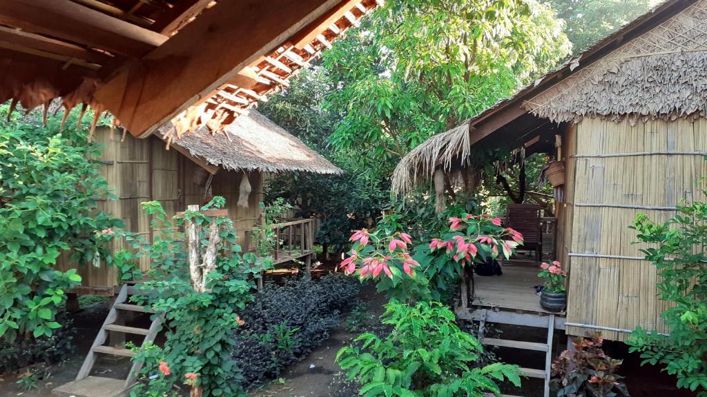 邦隆Tribal Village Homestay & Trekking的茅草屋顶和植物的小房子