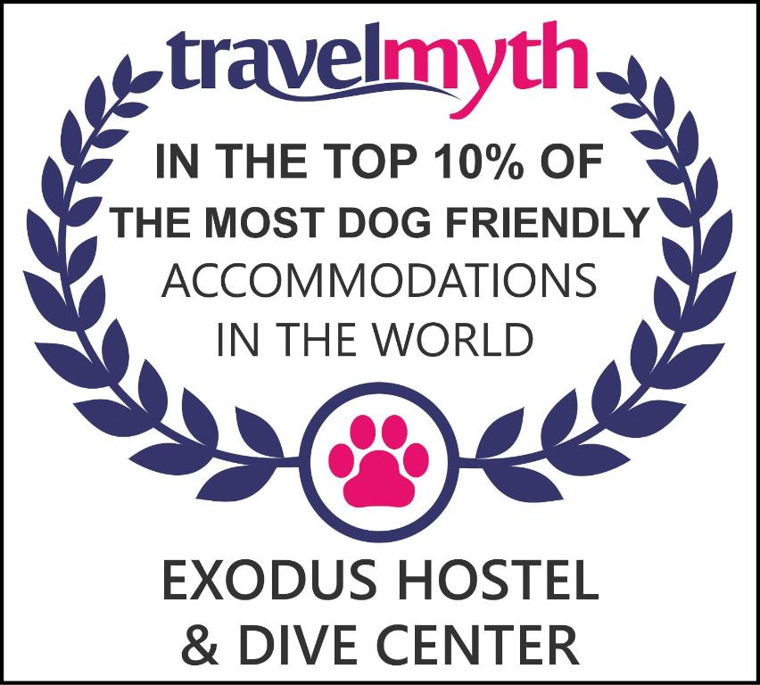 埃拉特Exodus Hostel &amp; Dive Center的考拉医院最爱狗的标志