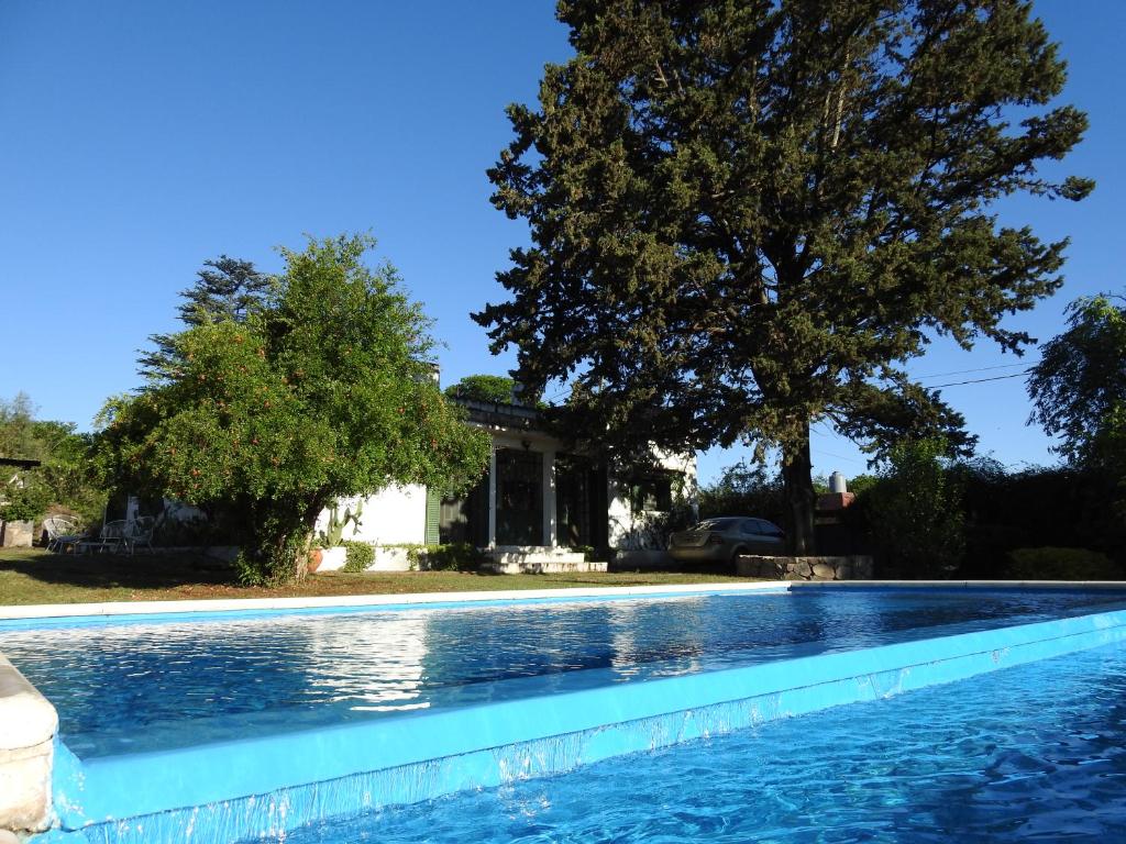 温基约De Adobe Unquillo的一座树屋前的游泳池