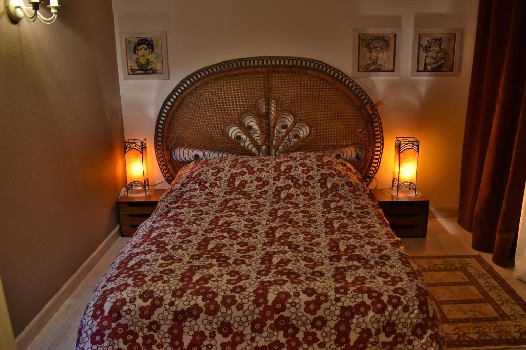 贝桑松La Bisontine的卧室内的一张大床,配有两盏灯
