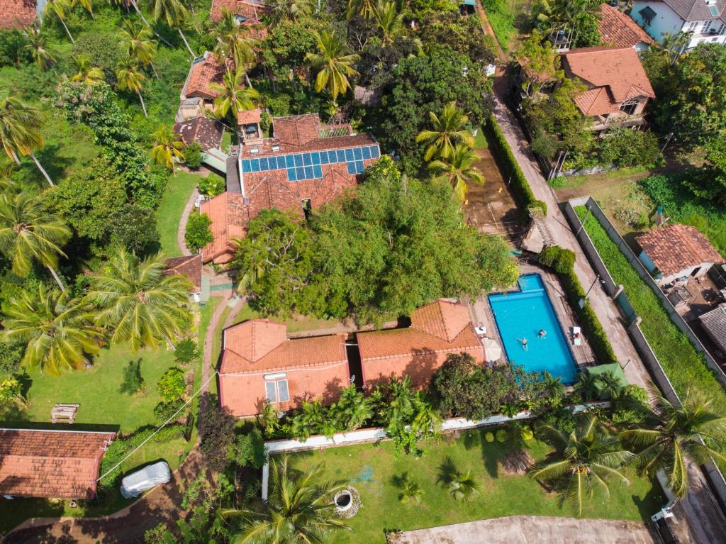 尼甘布荫凉别墅酒店的享有带游泳池和棕榈树的别墅的空中景致