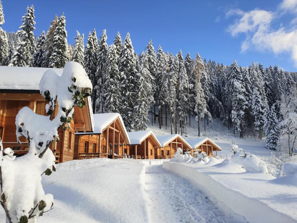 塞斯托Alpenchalets Mair的雪地小屋,有雪覆盖的树木
